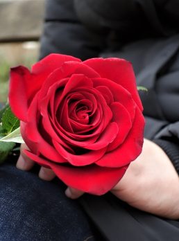 Adam872, , Baghdad, Iraq